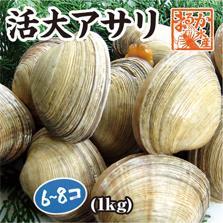 活大アサリ　１ｋｇ　６～８個 [大アサリ]