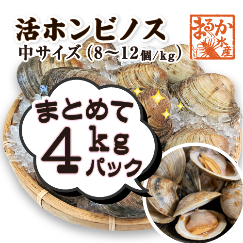 活 ホンビノス貝 中サイズ（8～12個）