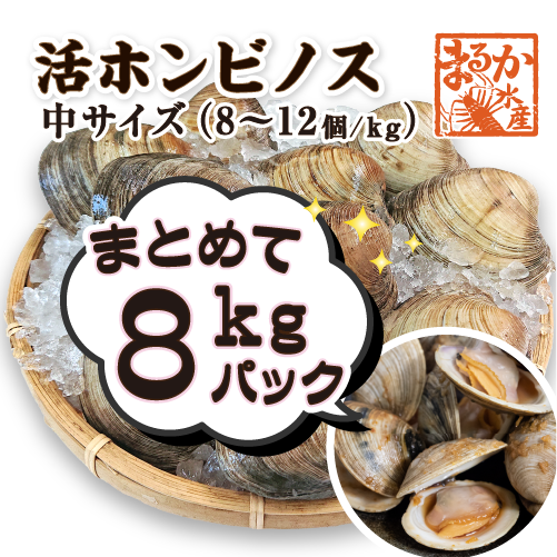 活 ホンビノス貝 中サイズ（8～12個）