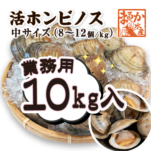 活 ホンビノス貝 中サイズ（8～12個）
