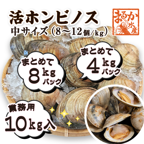 活 ホンビノス貝 中サイズ（8～12個）