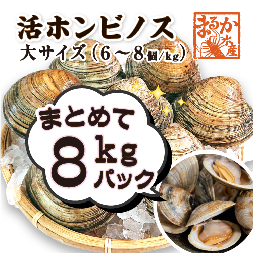 活 ホンビノス貝 大サイズ（6～8個）