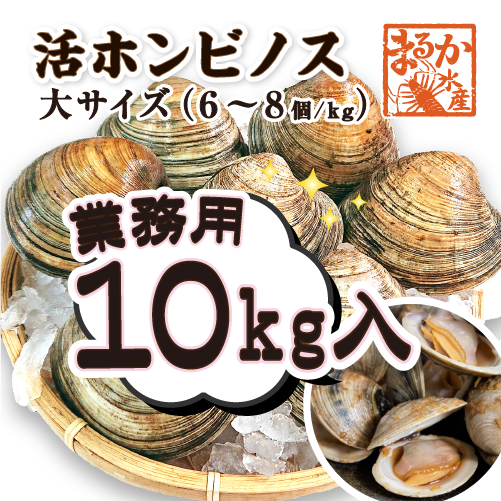 活 ホンビノス貝 大サイズ（6～8個）