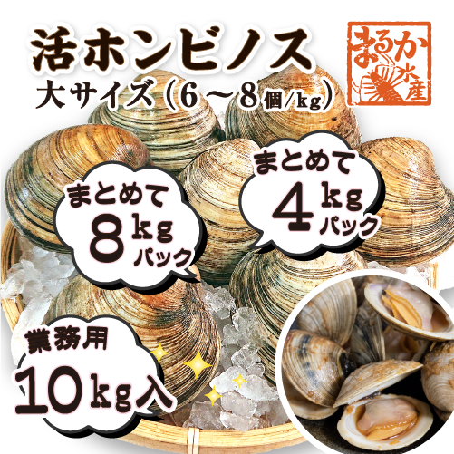活 ホンビノス貝 大サイズ（6～8個） | 貝類,ホンビノス | まるか水産