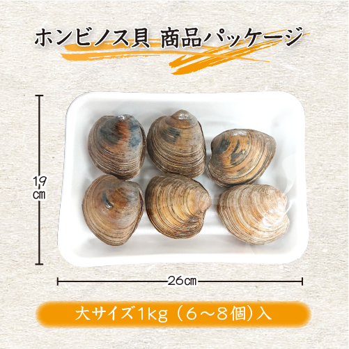 活 ホンビノス貝 大サイズ（6～8個）
