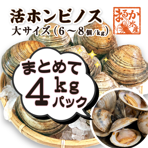 活 ホンビノス貝 大サイズ（6～8個）