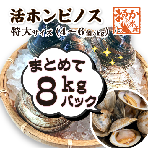 活 ホンビノス貝 特大サイズ(4~6個)