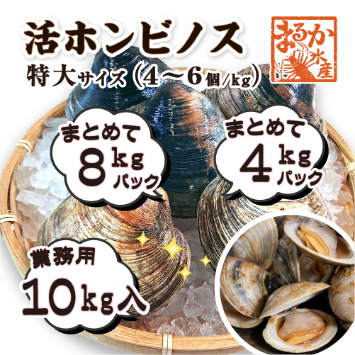 活 ホンビノス貝 特大サイズ(4~6個)