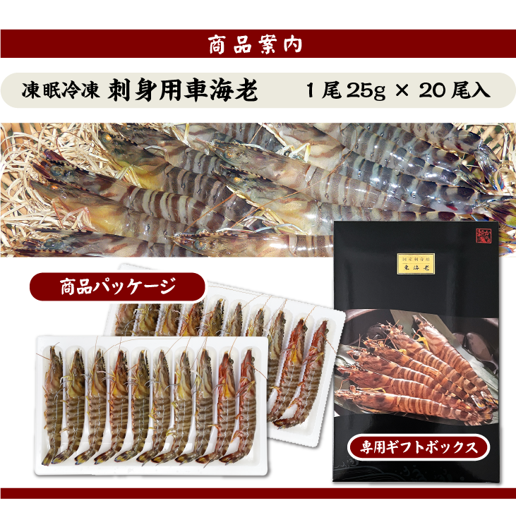刺身用車海老 凍眠冷凍 25g [冷凍車海老]（入数：20尾 500g/ギフトボックス入）