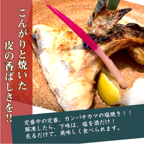 冷凍 活〆カンパチ カマ 国産(養殖)　5個セット[冷凍鮮魚]