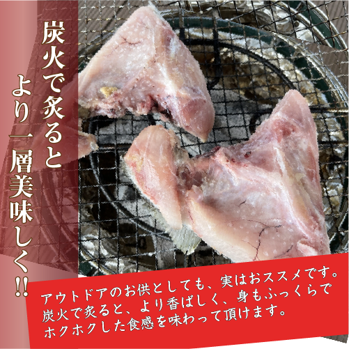 冷凍 活〆カンパチ カマ 国産(養殖)　5個セット[冷凍鮮魚]