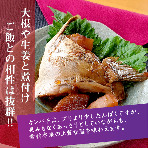 冷凍 活〆カンパチ カマ 国産(養殖)　5個セット[冷凍鮮魚]