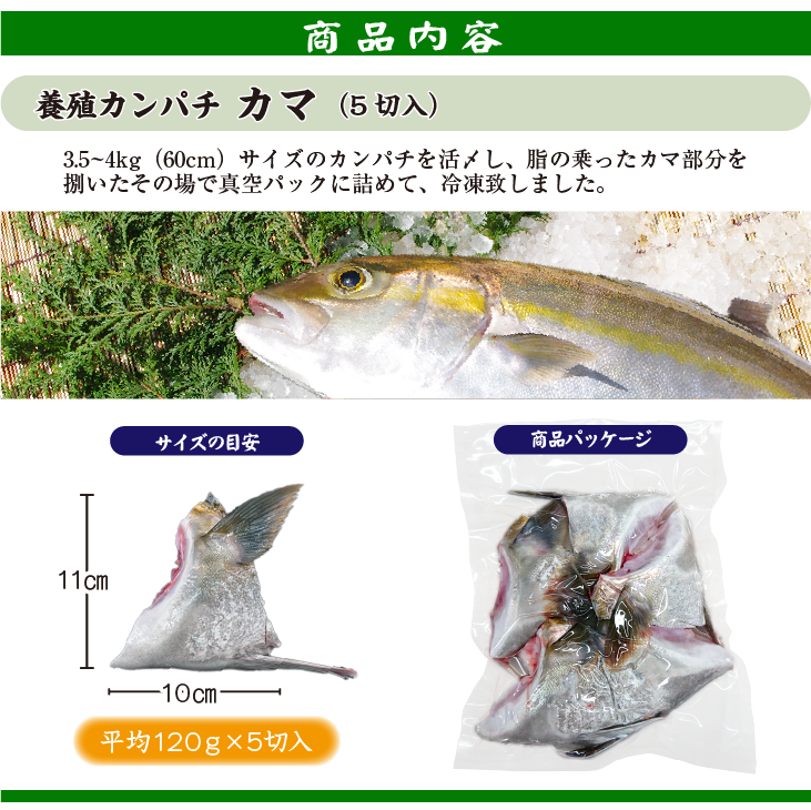冷凍 活〆カンパチ カマ 国産(養殖)　5個セット[冷凍鮮魚]