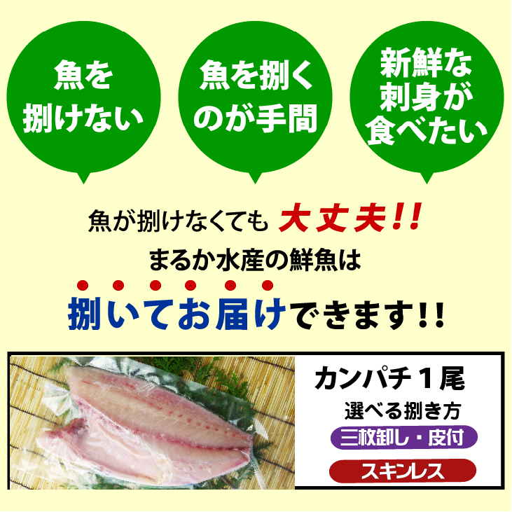 活〆カンパチ １尾 捌いてお届け！ 3.5～4.0kgサイズ（養殖）[魚介類]