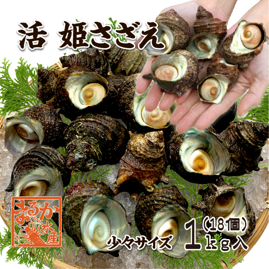 天然活 姫さざえ　少々サイズ 1kg １8個 40～60g [さざえ]
