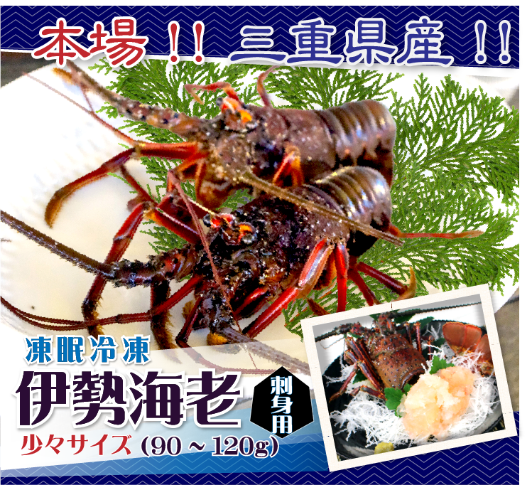刺身用伊勢海老 凍眠冷凍 少々サイズ 90～120g[刺身用伊勢海老]（入数：1尾）