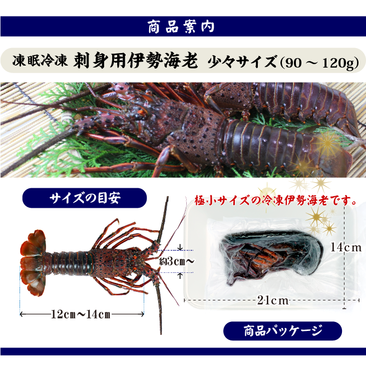 刺身用伊勢海老 凍眠冷凍 少々サイズ 90～120g[刺身用伊勢海老]（入数：1尾）