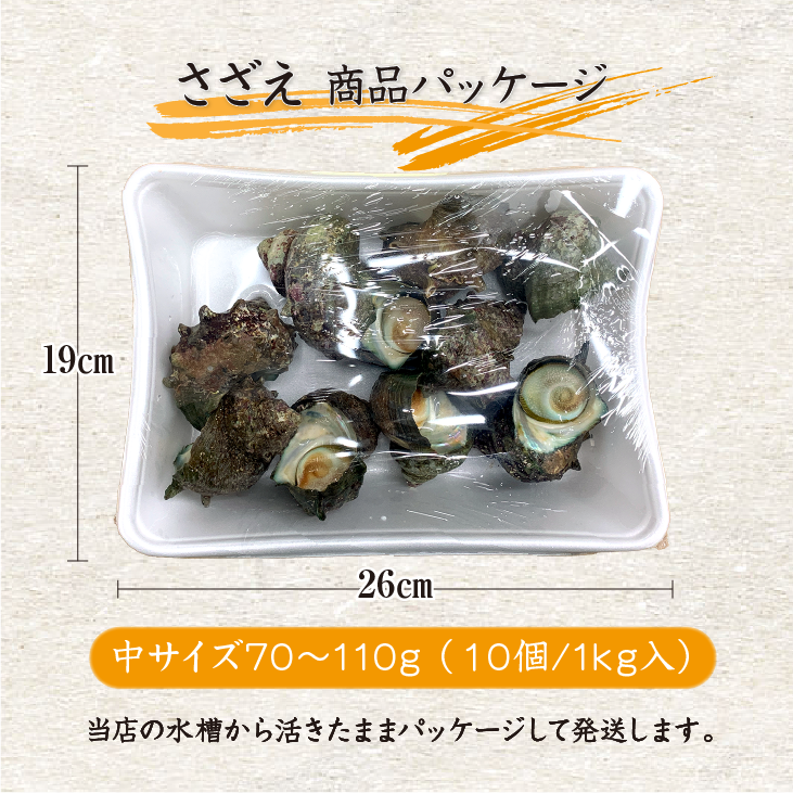 天然活 さざえ 中サイズ 1kg 10個 70～110g [さざえ]