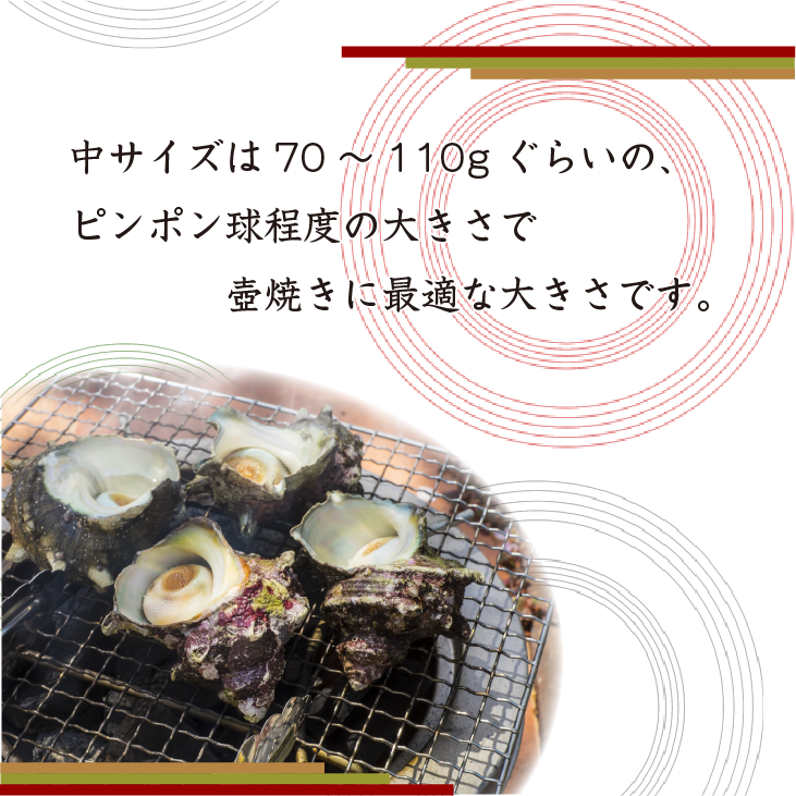 天然活 さざえ 中サイズ 1kg 10個 70～110g [さざえ]