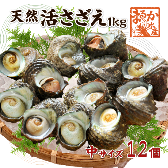 天然活 さざえ 中サイズ 1kg 12個 70～110g [さざえ]