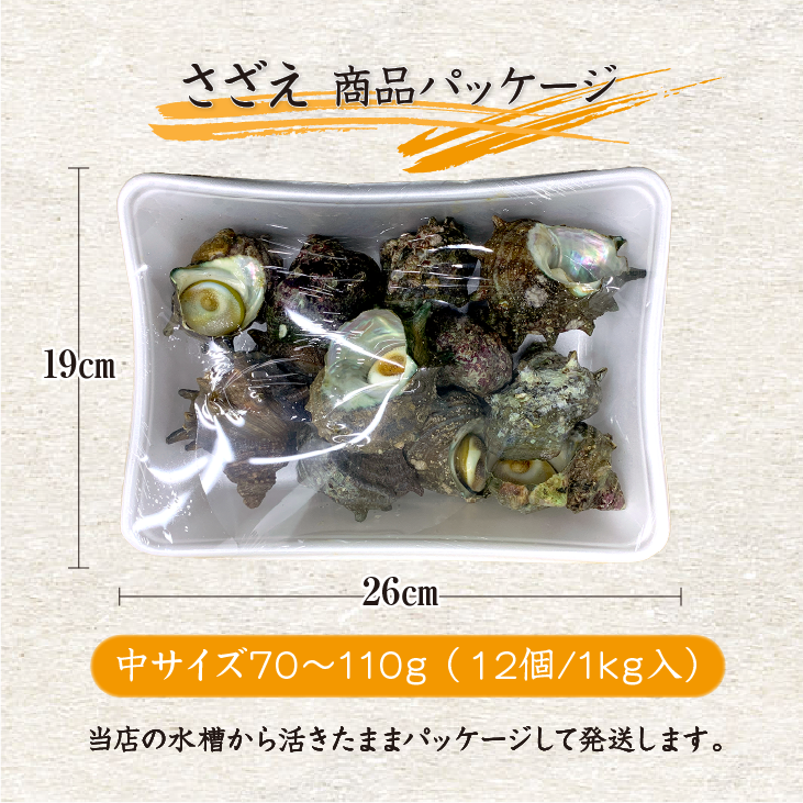 天然活 さざえ 中サイズ 1kg 12個 70～110g [さざえ]
