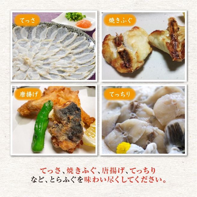 活とらふぐ身欠き 1.0kgサイズ 身欠処理（除毒）済/ 白子は入っていません [活河豚]