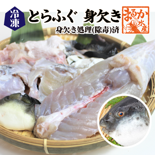 冷凍 とらふぐ身欠き 身欠処理（除毒）済/ 白子は入っていません[冷凍フグ]