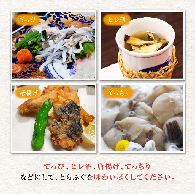 冷凍 とらふぐ身欠き 身欠処理（除毒）済/ 白子は入っていません[冷凍フグ]