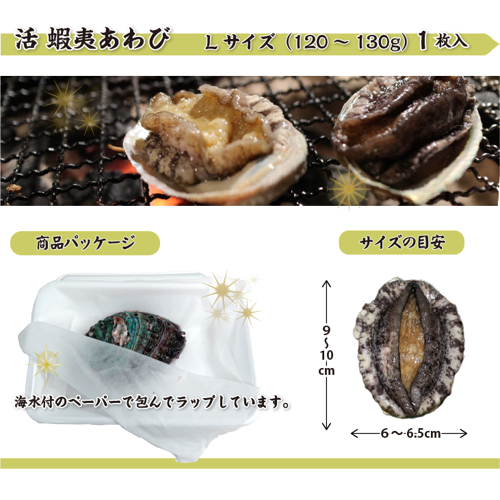 活 蝦夷あわび 120～130g Lサイズ[あわび]（入数:1枚）