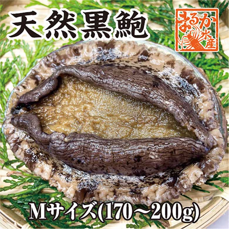 天然黒あわび Mサイズ 170～200g　1枚 [あわび]
