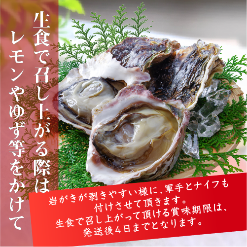 生食用 岩がき Lサイズ(250/300g）5個（軍手・ナイフ付）★[イタボ牡蠣]