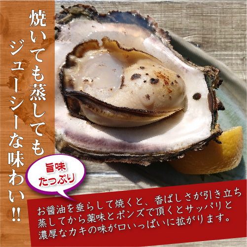 生食用 岩がき Lサイズ(250/300g）5個（軍手・ナイフ付）★[イタボ牡蠣]