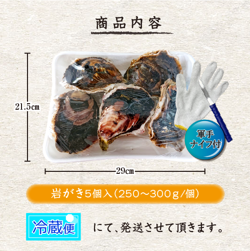 生食用 岩がき Lサイズ(250/300g）5個（軍手・ナイフ付）★[イタボ牡蠣]