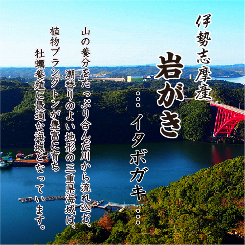 生食用 岩がき Lサイズ(250/300g）5個（軍手・ナイフ付）★[イタボ牡蠣]
