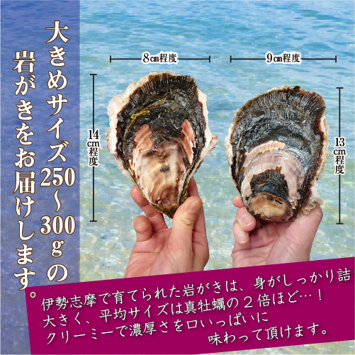 生食用 岩がき Lサイズ(250/300g）5個（軍手・ナイフ付）★[イタボ牡蠣]