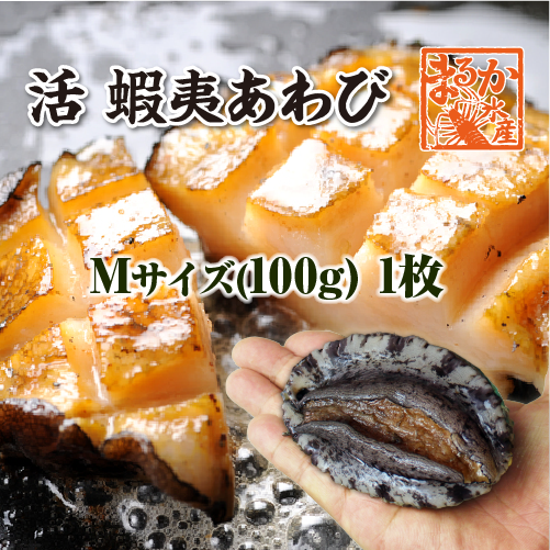活 蝦夷あわび 100g Mサイズ [あわび]（入数:1枚）