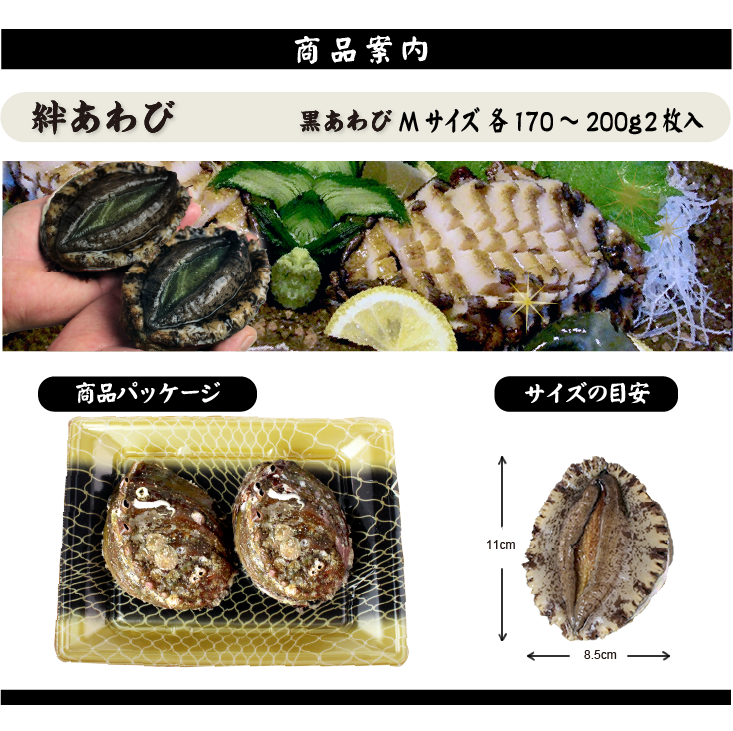 絆あわび 天然黒あわびのつがいセット）Mサイズ 170～200g　2枚 ★[あわび]