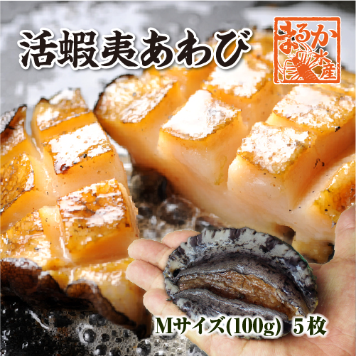 活 蝦夷あわび 100g Mサイズ [あわび]（入数:5枚 ★）