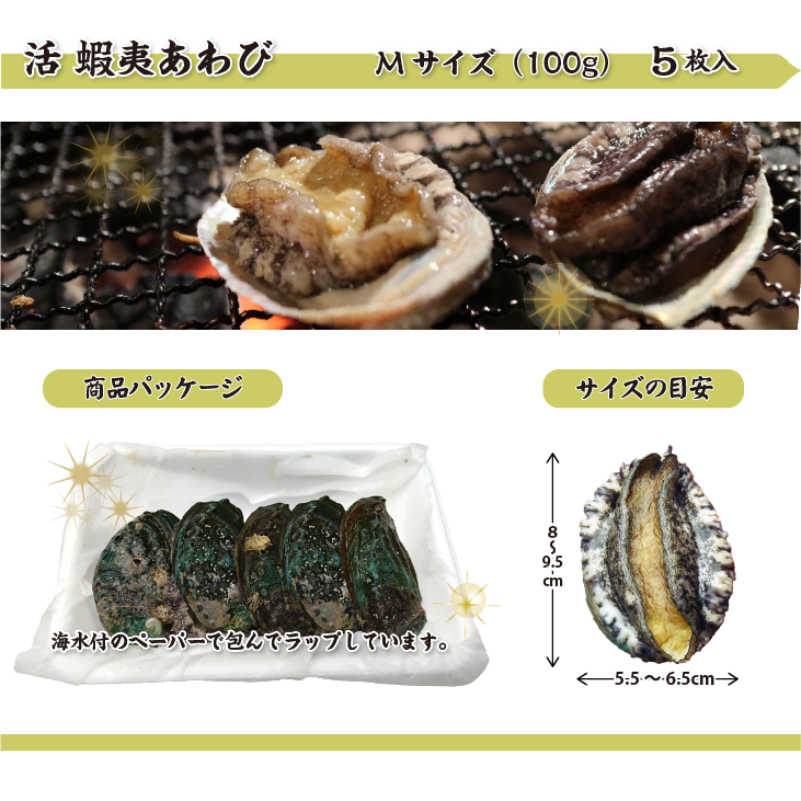 活 蝦夷あわび 100g Mサイズ [あわび]（入数:5枚 ★）