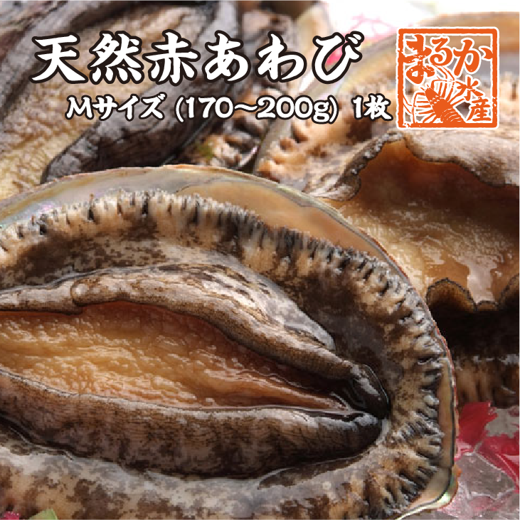新品未使用　トミポップ　170 アワビ　鮑 新品未使用 トミポップ 170 アワビ 鮑 - メルカリ
