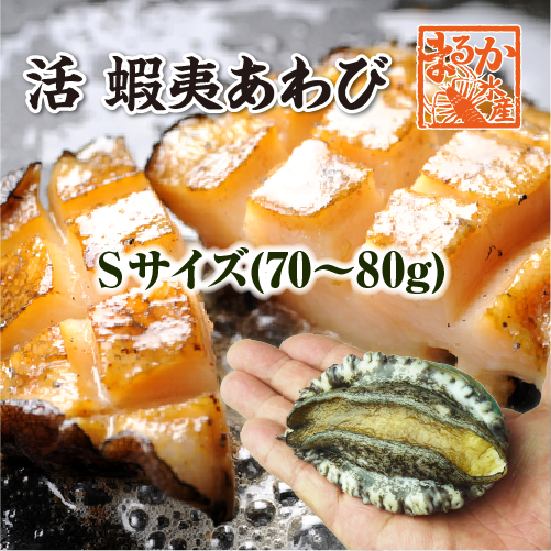 活 蝦夷あわび 70～80g Sサイズ [あわび]（入数:1枚） | あわび,蝦夷