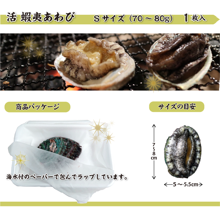 活 蝦夷あわび 70～80g Sサイズ [あわび]（入数:1枚）