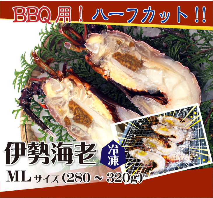 BBQ用 冷凍伊勢海老 280～320g MLサイズ ハーフカット [活〆伊勢海老]