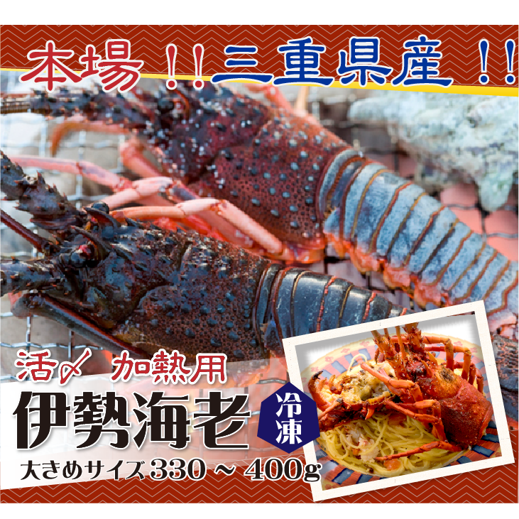 活〆伊勢海老（冷凍加熱用）大きめサイズ 330～400g [冷凍伊勢海老]（入数：1尾）