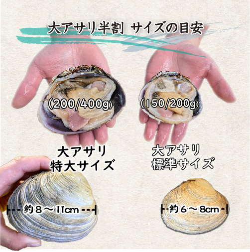 □冷凍 特大 活大アサリ 半割済（200～400g）3～5個（6～10切）タレ付 [大あさり]