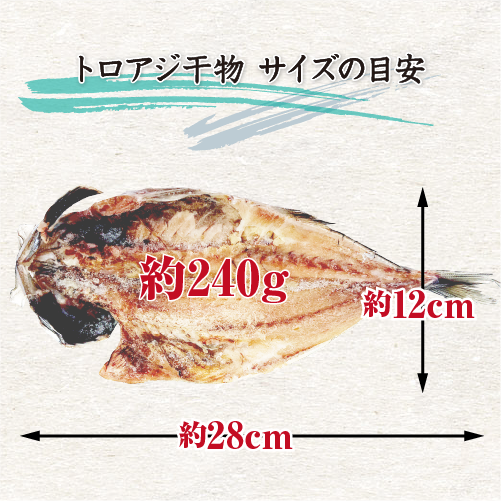 □特選干物 トロアジ 1枚（冷凍）[干物]