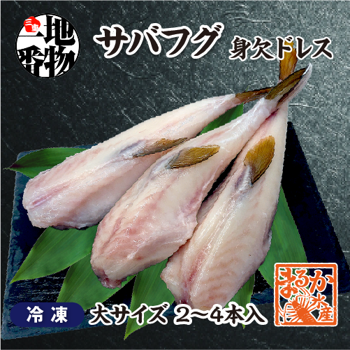 冷凍 サバフグ 身欠きドレス 大サイズ 1kg（2～4本入）[魚介類]