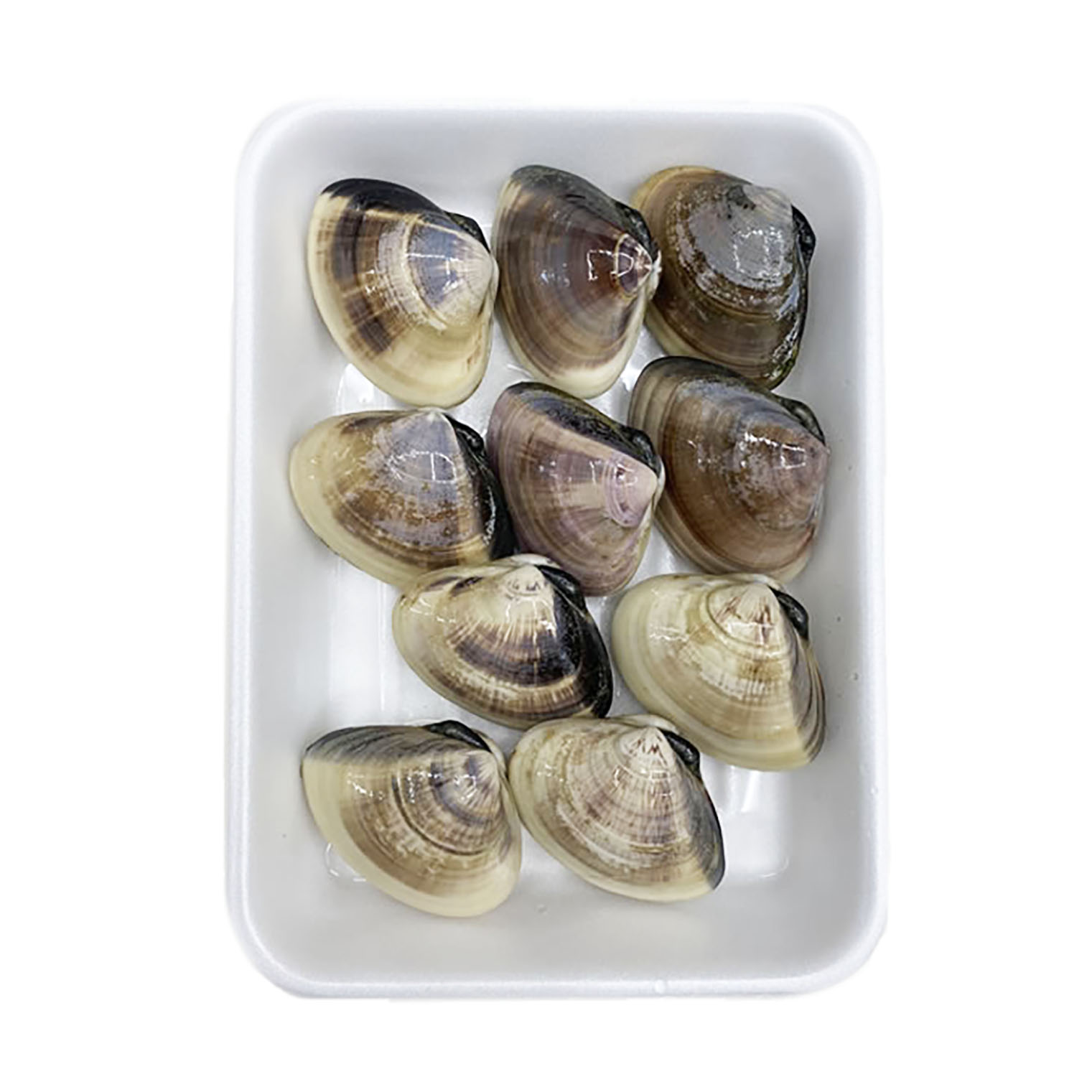 活はまぐり 大サイズ 70ｇ 100ｇ 10 15個 1ｋｇ分 国産 はまぐり 貝類 はまぐり まるか水産公式オンラインショップ