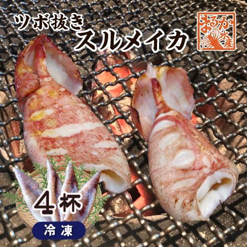 冷凍 スルメイカ（ツボ抜き）[冷凍イカ]（入数:4杯）