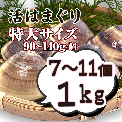 活はまぐり 特大サイズ 90～140g 国産 [はまぐり] | 貝類